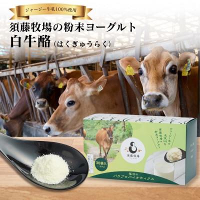 ふるさと納税 館山市 ジャージー生乳100% 完全無添加フリーズドライヨーグルト「白牛酪」
