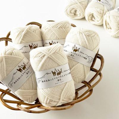 ふるさと納税 江南市 あみもねっと アルパカとメリノの物語並太 1番色 10玉セット