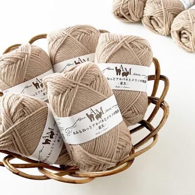 ふるさと納税 江南市 あみもねっと アルパカとメリノの物語並太 2番色 10玉セット