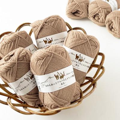 ふるさと納税 江南市 あみもねっと アルパカとメリノの物語並太 3番色 10玉セット