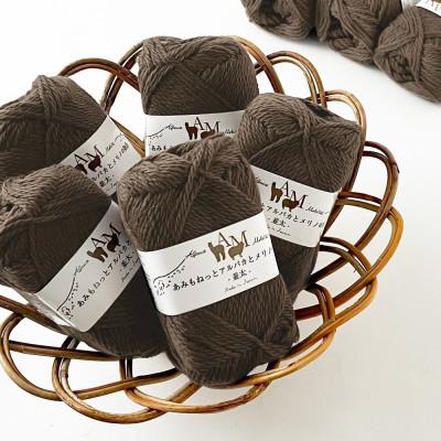 ふるさと納税 江南市 あみもねっと アルパカとメリノの物語並太 5番色 10玉セット