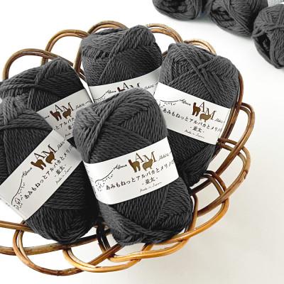 ふるさと納税 江南市 あみもねっと アルパカとメリノの物語並太 6番色 10玉セット