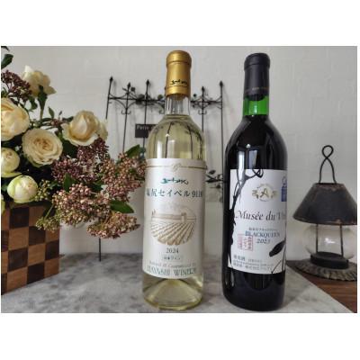 ふるさと納税 塩尻市 当店の2025年出荷量No.1 五一塩尻セイベル9110&amp;アルプスMdVブラッククイーン計2本セット