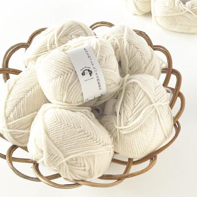 ふるさと納税 江南市 あみもねっと アルパカ天然色並太 1番色 10玉セット