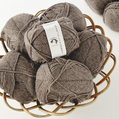 ふるさと納税 江南市 あみもねっと アルパカ天然色並太 4番色 10玉セット