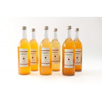 ふるさと納税 花巻市 いわて花巻 林檎屋果汁6本セット[ふじ2本・ジョナゴールド2本・王林2本]