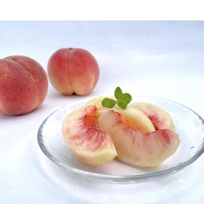 ふるさと納税 盛岡市 [先行予約]ふじむら農園の朝獲り完熟桃 特撰 川中島白桃 1.2kg