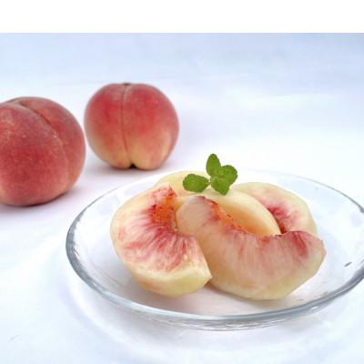 ふるさと納税 盛岡市 [先行予約]ふじむら農園の朝獲り完熟桃 家庭用 川中島白桃 1.2kg