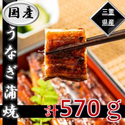ふるさと納税 桑名市 [三重県育ちのうなぎ蒲焼]木曽三川うなぎ蒲焼150g×3枚+きざみ60g×2枚(たれ・さんしょ付)