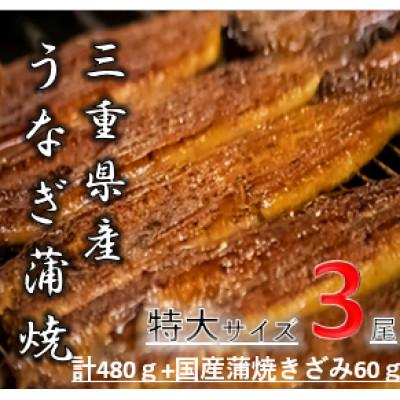 ふるさと納税 桑名市 [国産うなぎ蒲焼]木曽三川うなぎ蒲焼160g×3枚+きざみ60g×1枚(たれ・さんしょ付)