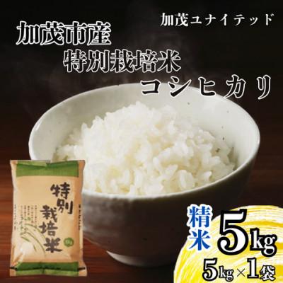 ふるさと納税 加茂市 [先行予約]令和8年産 特別栽培米コシヒカリ 精米 5kg(5kg×1袋)