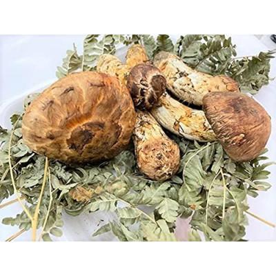 ふるさと納税 久慈市 久慈産【冷凍】天然松茸「訳あり規格外品」100g |  | 01