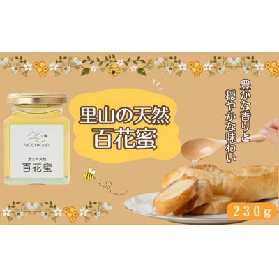 ふるさと納税 洋野町 里山の天然 百花蜜 230g