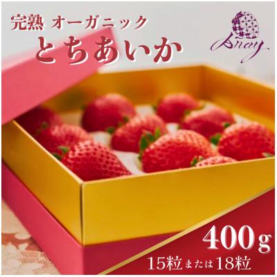 ふるさと納税 鹿沼市 [有機JAS認証]オーガニック生いちご とちあいか 15粒または18粒 400g
