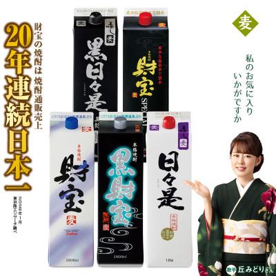 ふるさと納税 垂水市 [麦焼酎]紙パック5種5本セット(垂水市)