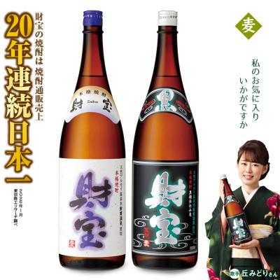 ふるさと納税 垂水市 [麦焼酎]一升瓶2種2本セット(垂水市)