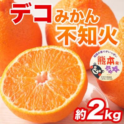ふるさと納税 和水町 不知火 デコみかん(デコポンと同品種)5〜9玉 約2kg(和水町)