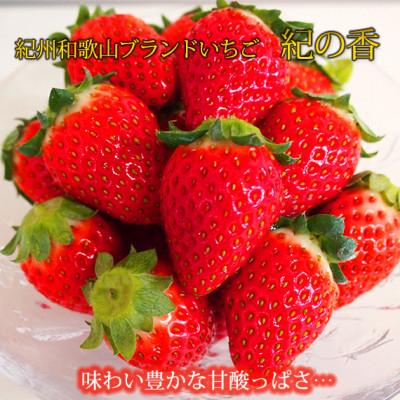 ふるさと納税 印南町 紀州和歌山ブランドいちご「紀の香」約250g×4P