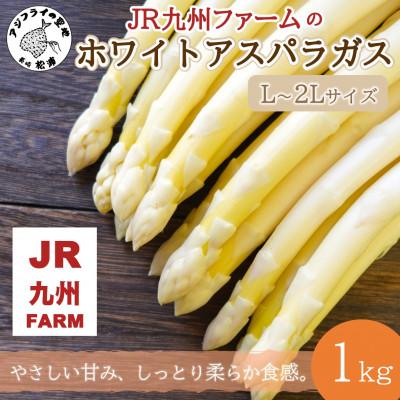 ふるさと納税 松浦市 JR九州ファームのホワイトアスパラガス L〜2Lサイズ 1kg