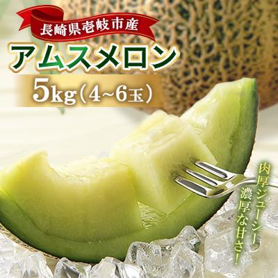 ふるさと納税 壱岐市 [先行受付]壱岐産アムスメロン 約5kg(4玉〜6玉) 玉数指定不可