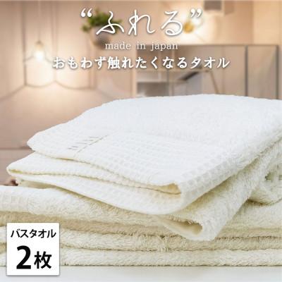 ふるさと納税 泉大津市 [バスタオル2枚組]思わずふれたくなる しなやかバスタオル(60×120cm)HO