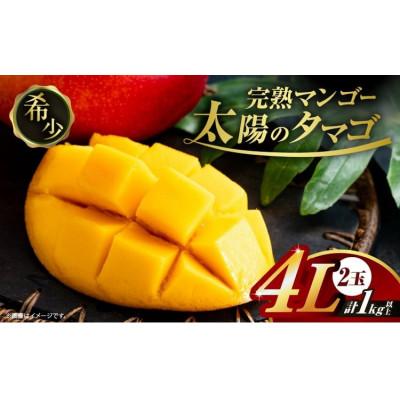 ふるさと納税 日南市 太陽のタマゴ (4L×2玉) 完熟マンゴー 最高級ブランド 糖度15度以上 計約1kg(日南)
