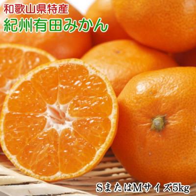 ふるさと納税 北山村 [秀品]和歌山有田みかん 5kg (SサイズまたはMサイズ)[tec833B]