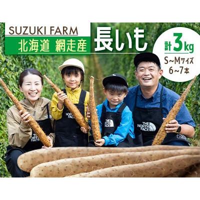ふるさと納税 網走市 令和7年産 SUZUKI FARM 長いも 3kg(S〜Mサイズ 6〜7本)