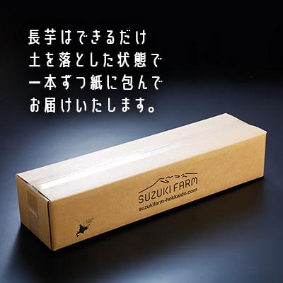 ふるさと納税 網走市 令和8年産　SUZUKI FARM　長いも5kg (L〜2Lサイズ 7〜8本) |  | 03