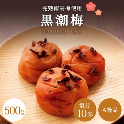ふるさと納税 田辺市 [A級品]紀州南高梅 黒潮梅 500g 塩分10% [spo009]