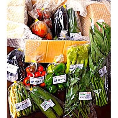 ふるさと納税 原村 [先行受付]季節の変り野菜セット(Mサイズ)