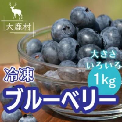 ふるさと納税 大鹿村 大きさいろいろ冷凍ブルーベリー 1kg