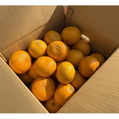 ふるさと納税 日高川町 [訳あり]はっさく(サイズ混合)10キロ