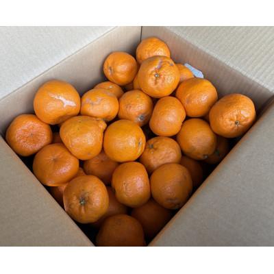 ふるさと納税 日高川町 [訳あり]ポンカン(サイズ混合)7.5キロ