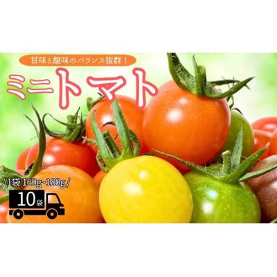 ふるさと納税 伊予市 ミニトマト計1600gから1800gカラートマト食べ比べセット