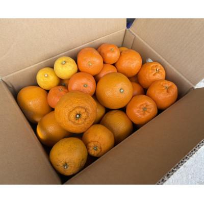 ふるさと納税 日高川町 旬の柑橘詰め合わせ(3種類以上)5キロ