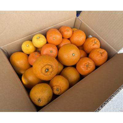 ふるさと納税 日高川町 [訳あり]旬の柑橘詰め合わせ(3種以上)[5キロ]