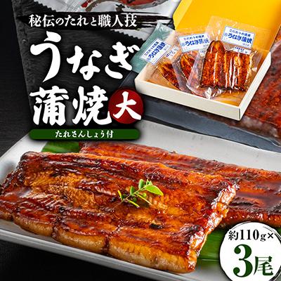 ふるさと納税 銚子市 うなぎ蒲焼真空パック 大 計330gたれさんしょう付