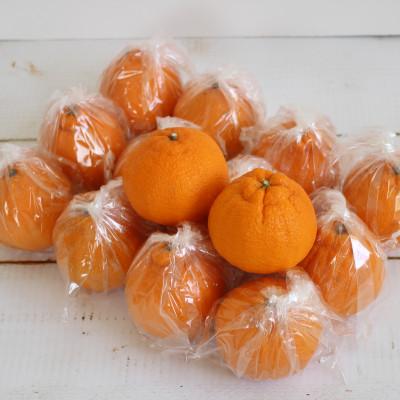 ふるさと納税 日高川町 お好みの味に育てて楽しむ 不知火(しらぬひ) 5kg 産地直送 和歌山県産