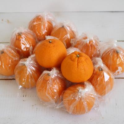 ふるさと納税 日高川町 お好みの味に育てて楽しむ不知火 3kg 産地直送 和歌山県産