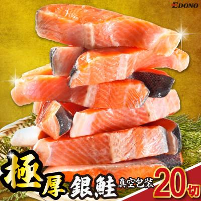 ふるさと納税 銚子市 銀さけ 2切真空 10パック入(甘口)