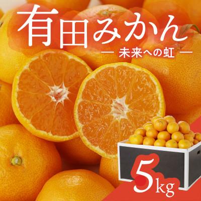 ふるさと納税 有田市 有田みかん「未来への虹」約5kg(滝勝園)
