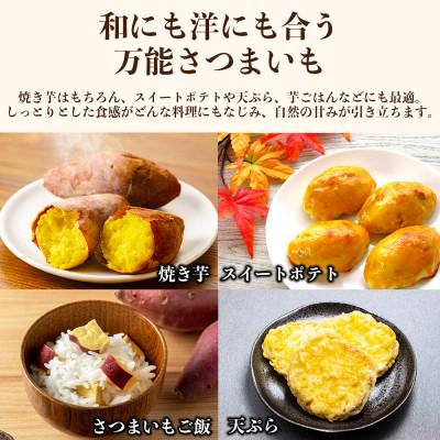 ふるさと納税 大津町 シルクスイート さつまいも 約5kg(大津町)の画像