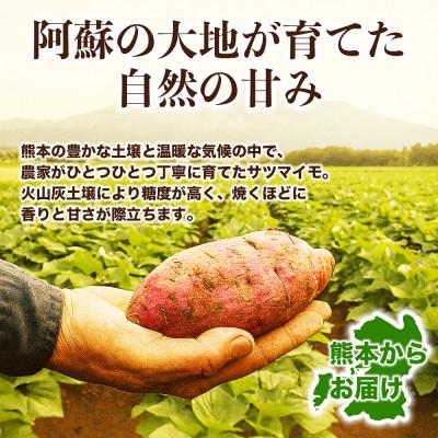 ふるさと納税 大津町 シルクスイート さつまいも 約5kg(大津町)の画像