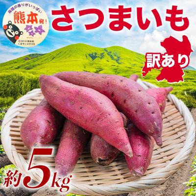 ふるさと納税 菊池市 訳あり さつまいも 約5kg(菊池市)