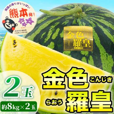 ふるさと納税 和水町 金色羅皇 すいか 3L以上 2玉 約16kg(和水町)