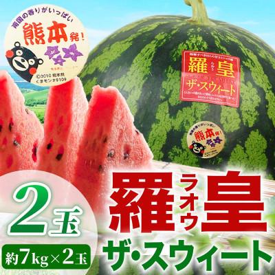 ふるさと納税 和水町 羅皇ザ・スウィート すいか 2L以上 2玉 約14kg(和水町)