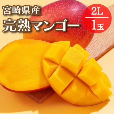 ふるさと納税 日南市 宮崎県日南市産 完熟マンゴー2L1玉[日南市](R8年4月中旬以降順次発送)