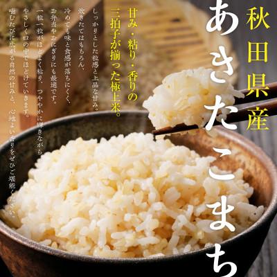 ふるさと納税 潟上市 【ふるさと納税】米 令和8年産 秋田県産
