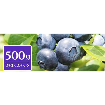 ふるさと納税 三春町 三春ブルーベリー250g×2パック[2026年6月下旬〜順次発送]